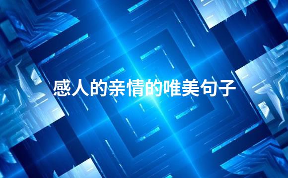感人的亲情的唯美句子