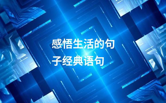 感悟生活的句子经典语句