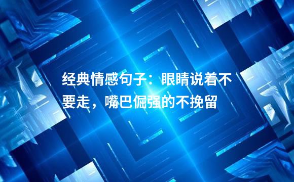 经典情感句子：眼睛说着不要走，嘴巴倔强的不挽留