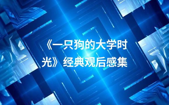 《一只狗的大学时光》经典观后感集