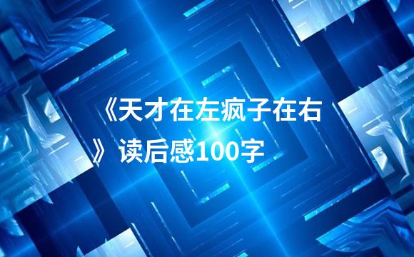 《天才在左疯子在右》读后感100字