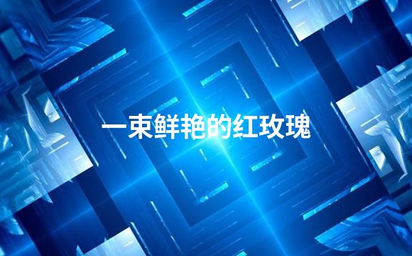 一束鲜艳的红玫瑰