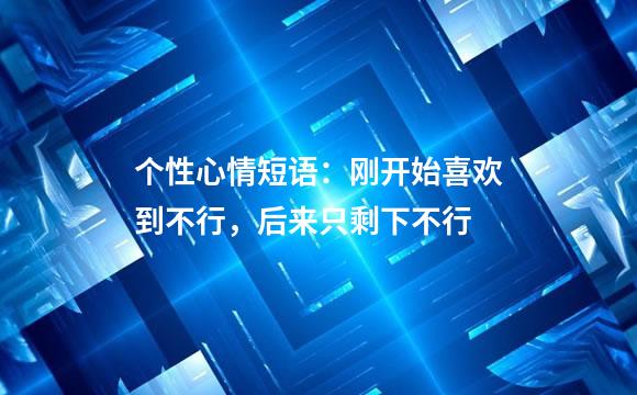 个性心情短语：刚开始喜欢到不行，后来只剩下不行