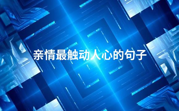 亲情最触动人心的句子