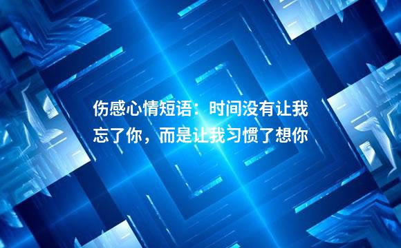 伤感心情短语：时间没有让我忘了你，而是让我习惯了想你