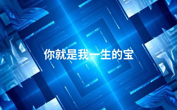 你就是我一生的宝