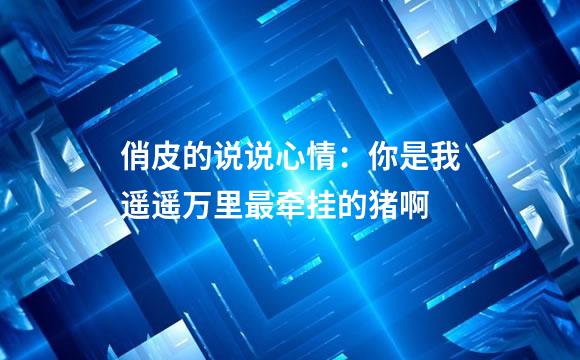 俏皮的说说心情：你是我遥遥万里最牵挂的猪啊