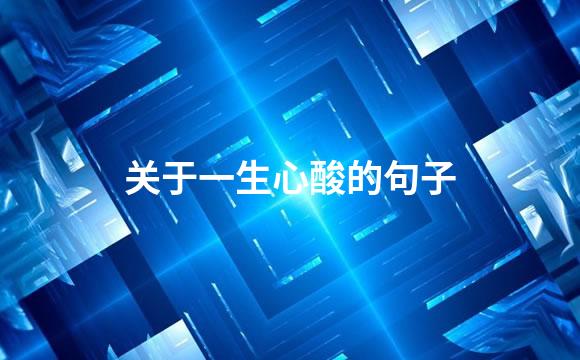 关于一生心酸的句子