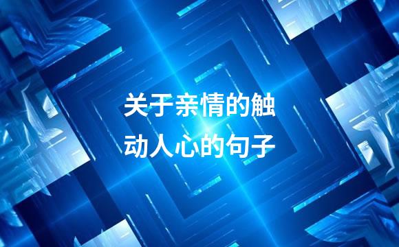 关于亲情的触动人心的句子