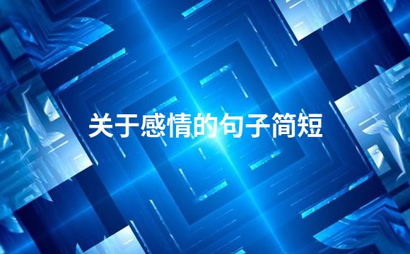 关于感情的句子简短