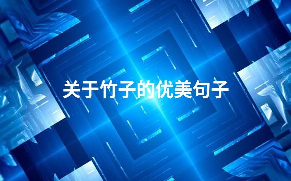 关于竹子的优美句子