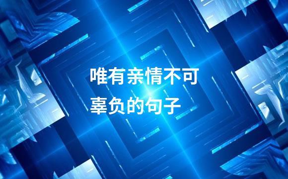 唯有亲情不可辜负的句子