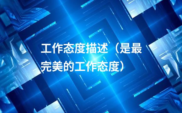 工作态度描述（是最完美的工作态度）