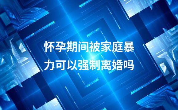 怀孕期间被家庭暴力可以强制离婚吗