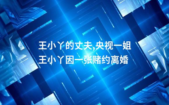 王小丫的丈夫,央视一姐王小丫因一张赌约离婚