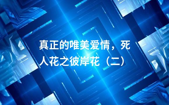 真正的唯美爱情，死人花之彼岸花（二）