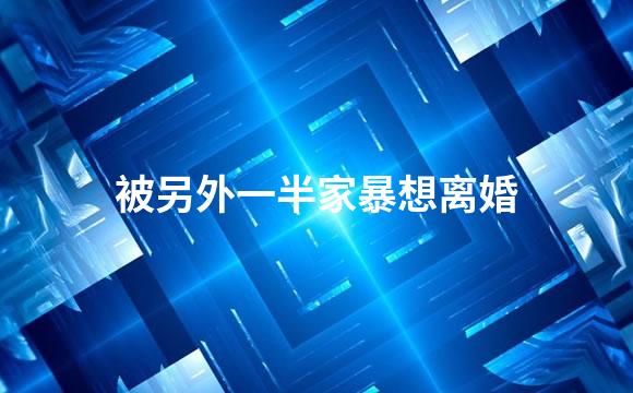 被另外一半家暴想离婚
