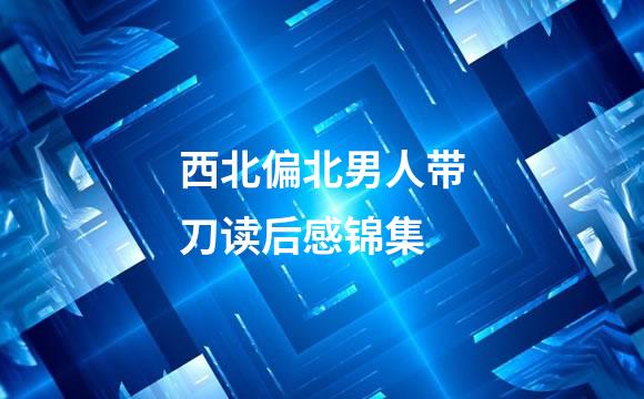 西北偏北男人带刀读后感锦集