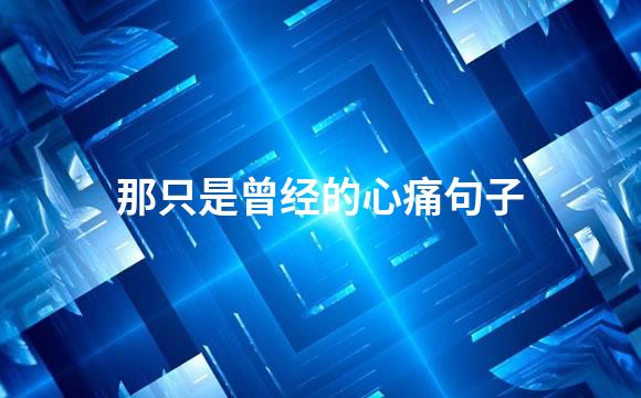 那只是曾经的心痛句子