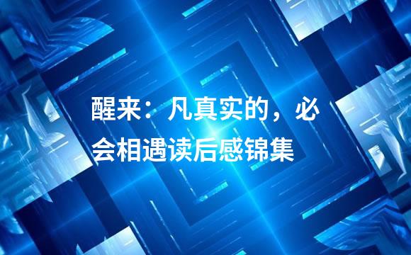 醒来：凡真实的，必会相遇读后感锦集
